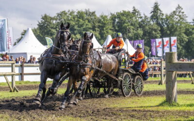 Bram Chardon genomineerd voor FEI Award