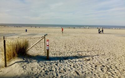 Eerste ruiterknooppuntennetwerk Zuid-Holland gereed