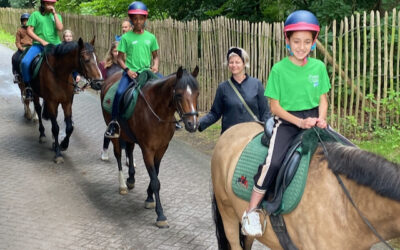 Werken als een Paard Vakantieschool van start