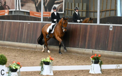 Zuid-Holland met sterke afvaardiging naar landelijke kampioenschappen dressuur