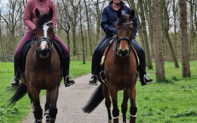 Vacature Forumlid Recreatiesport Zuid-Holland