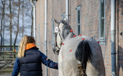 KWPN en EquInnolab starten met pilot biomechanica