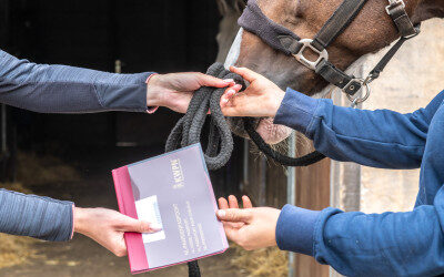 Juridische blik op de verkoop van paarden