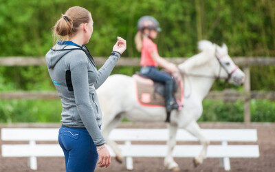 Opleiding Aspirant Instructeur Manege van start in najaar