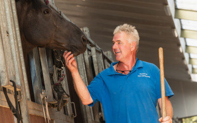 Van start als hippisch ondernemer