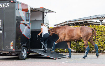 Registreer bestemming paard naar het buitenland