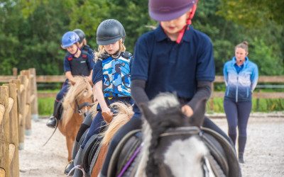 Het bestuur van de Beroepsgroep Hippische Instructeurs stelt zich voor