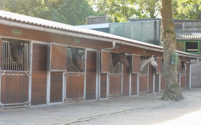 Identificatie & Registratie: informeer uw klanten