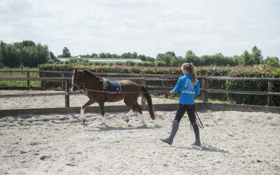 Heeft u een noodplan als hippisch ondernemer?