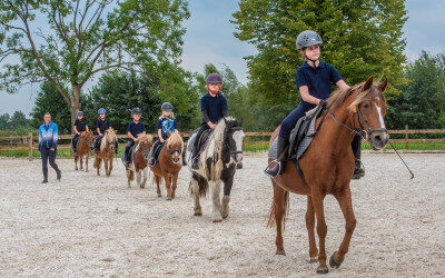 Maneges in problemen door grote vraag naar brave paarden
