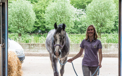 FNRS-bedrijven voldoen aan kwaliteitseisen voor paardencoaching