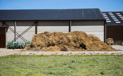 Vergunningplicht paardenhouderij bij toename stikstofemissie