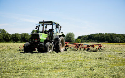 Jacobskruiskruid in bermen een probleem voor paardenhouders
