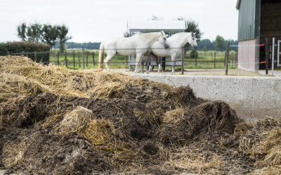 Mestonderzoek in het najaar