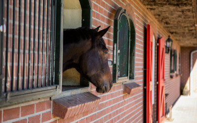 Hippische accommodatie goed ventileren