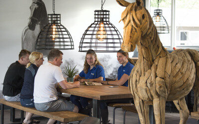 Zet paardensport in uw gemeente op de politieke agenda  