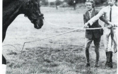 Nora Tack: de eerste vrouwelijke directeur van een manege