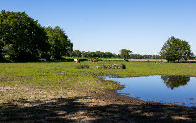 Biodiversiteit vergroten op een hippisch bedrijf