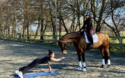 Scheefheid ruiter veroorzaakt blessures paard