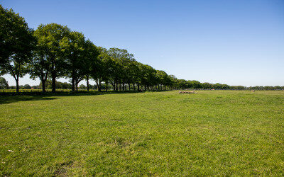 Vrijwillige kavelruil en vrijstelling van overdrachtsbelasting