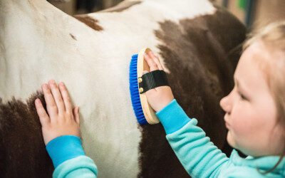 Kansen voor kinderen én de paardensport