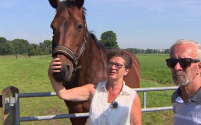 Herma en Jaap Muilwijk fokkers van het jaar