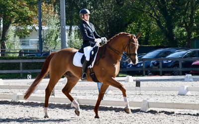 8 Zuid-Hollandse dressuurtalenten in KNHS Talentenplan