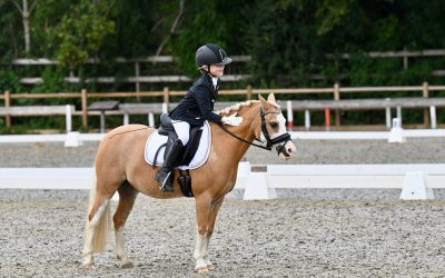 Pony Little Polly klasse apart tijdens deze speciale regiokampioenschappen